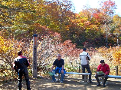 �V������