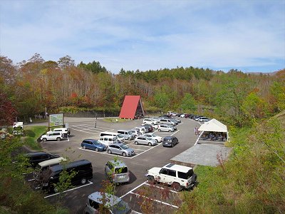 �V�����o�R��