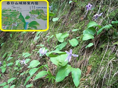 �t���R�隬1