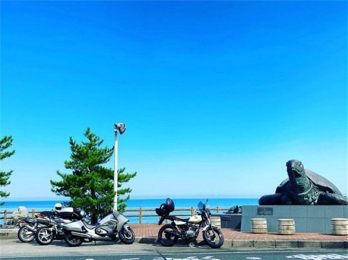 親不知ピアパークの亀像